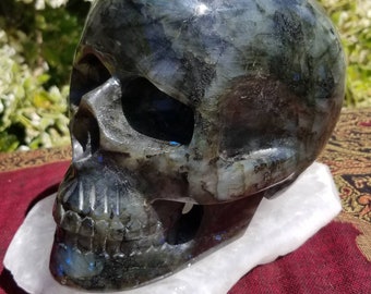 Finely Carved Labradorite Skull with Blue Fire - Full Size! Weighs Over 10 Pounds !