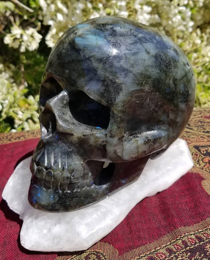 Finely Carved Labradorite Skull with Blue Fire Full Size Weighs Over 10 Pounds image 1