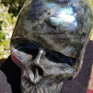 Finely Carved Labradorite Skull with Blue Fire Full Size Weighs Over 10 Pounds image 6