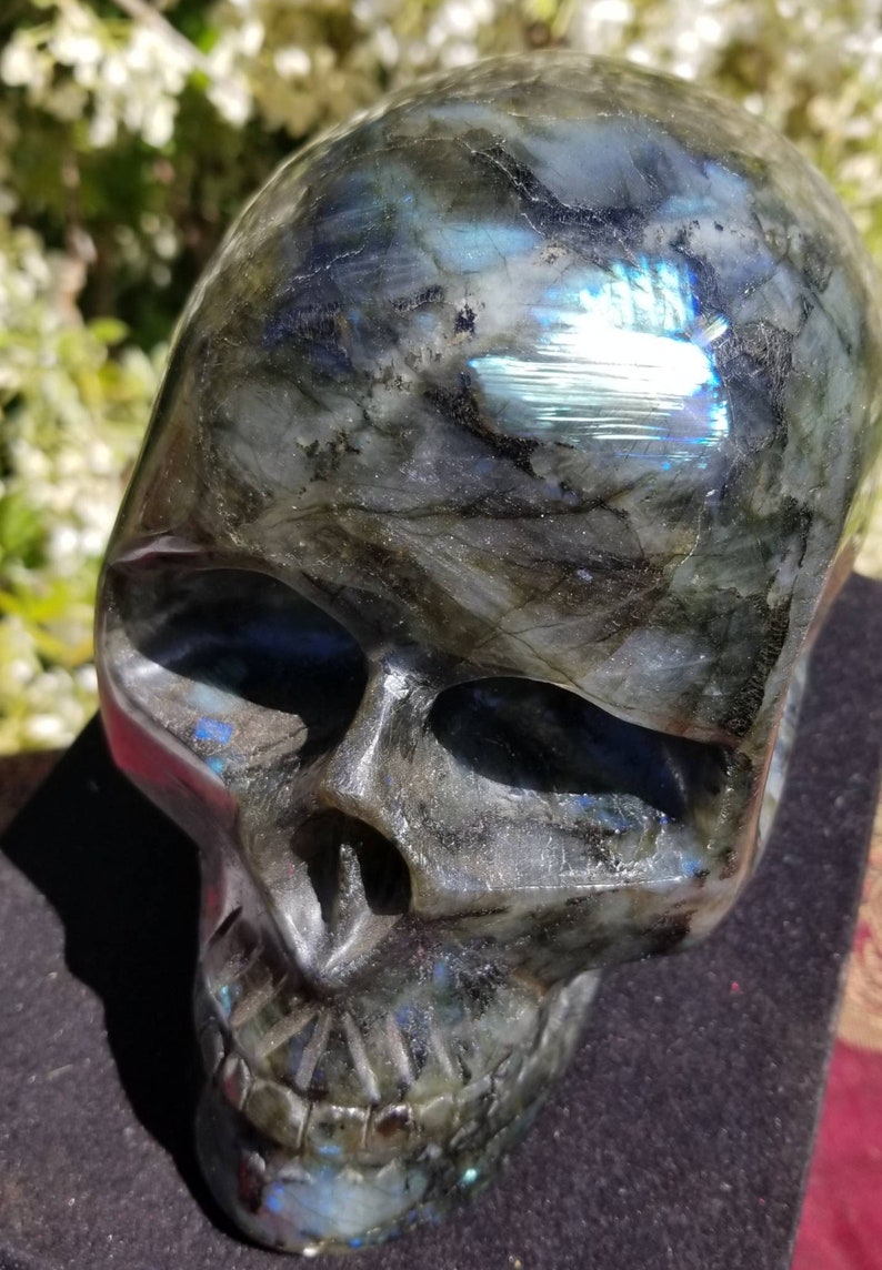 Finely Carved Labradorite Skull with Blue Fire Full Size Weighs Over 10 Pounds image 6