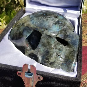 Finely Carved Labradorite Skull with Blue Fire Full Size Weighs Over 10 Pounds image 3