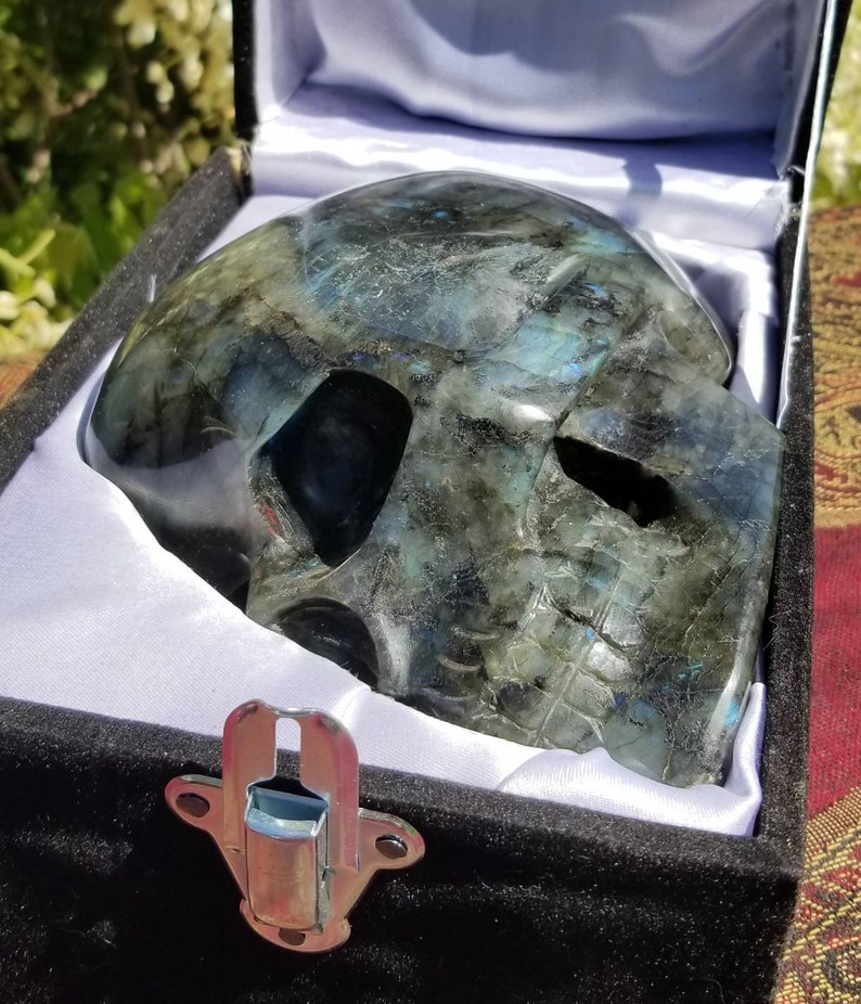 Finely Carved Labradorite Skull with Blue Fire Full Size Weighs Over 10 Pounds image 3