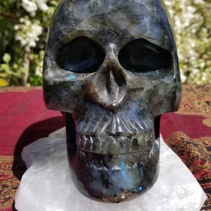 Finely Carved Labradorite Skull with Blue Fire Full Size Weighs Over 10 Pounds image 2