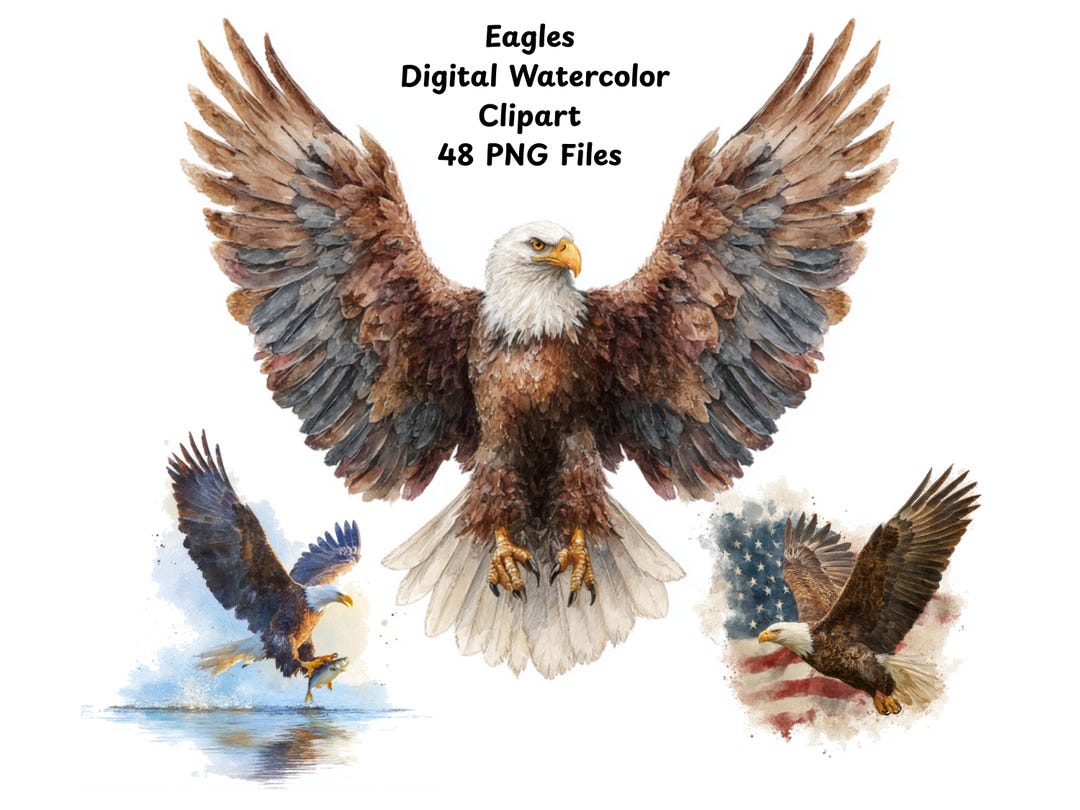 Watercolor Bald Eagle Clipart – Patriotic PNG Designs (digital Download ...