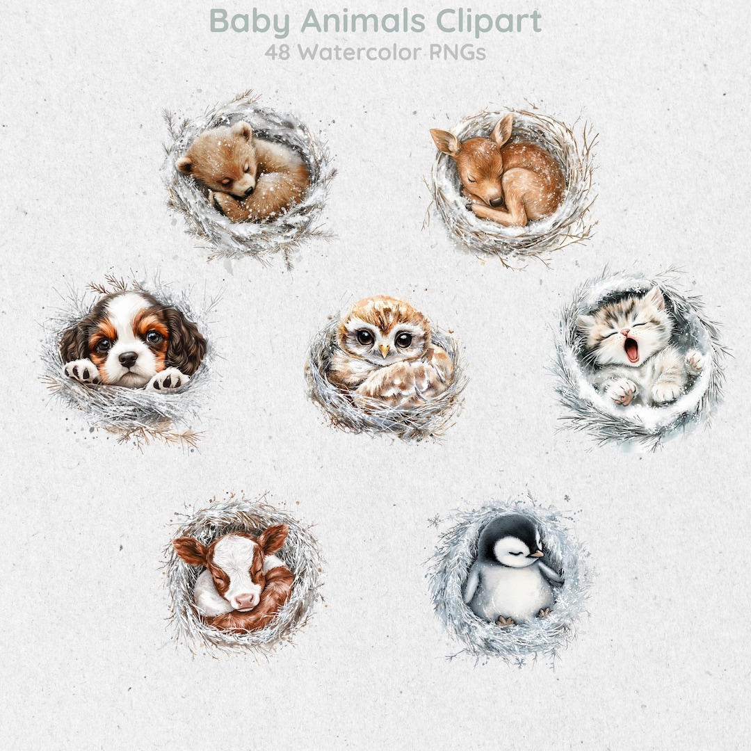 Baby Animals Clipart Bundle – Watercolor Woodland, Farm & Pet Animals ...