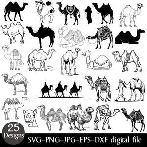 Op de afbeelding: Een verzameling van 25 kameelontwerpen in zwart en wit. De kamelen worden in verschillende poses afgebeeld, waaronder staand, zittend en met lasten. De ontwerpen omvatten gedetailleerde illustraties en silhouetten. De tekst "25 Designs" is zichtbaar.