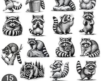 Raccoon SVG Bundle, Cute Raccoon Clipart, Raccoon Silhouette, Wildlife Art Printables, Raccoon Head Png, Woodland Animal Digital Cut Files