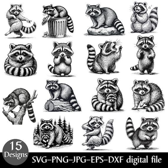 Raccoon SVG Bundle, Cute Raccoon Clipart, Raccoon Silhouette, Wildlife Art Printables, Raccoon Head Png, Woodland Animal Digital Cut Files