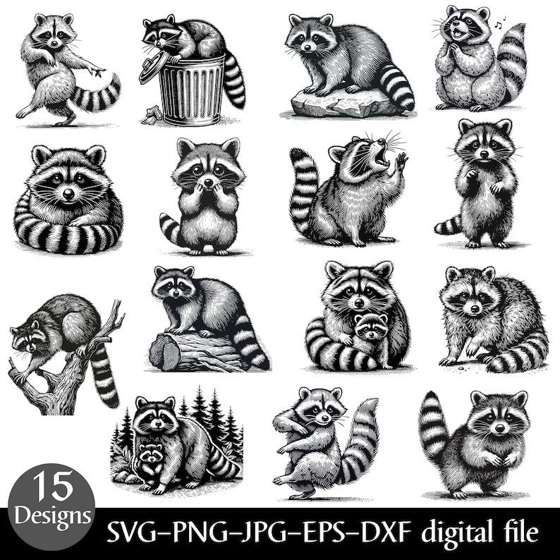 Puede incluir: Una colecci&oacute;n de 15 dise&ntilde;os de mapaches en blanco y negro en varias poses. Los mapaches est&aacute;n representados en un estilo ilustrativo detallado, algunos sosteniendo objetos o interactuando con su entorno. La imagen incluye texto que indica los tipos de archivos disponibles.
