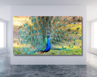 CANVAS WALL DESIGN Peacock Decor, Canvas Or Poster, Animal Decor, Home Wall Art, Peacock Wall Decor, Living Room Decor, Father's day gift