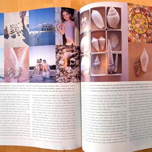 May include: A magazine spread featuring various images of seashells, beach scenes, and a young girl. The seashells are displayed in shadow boxes. The images are in a variety of colors, including blue, white, and brown.