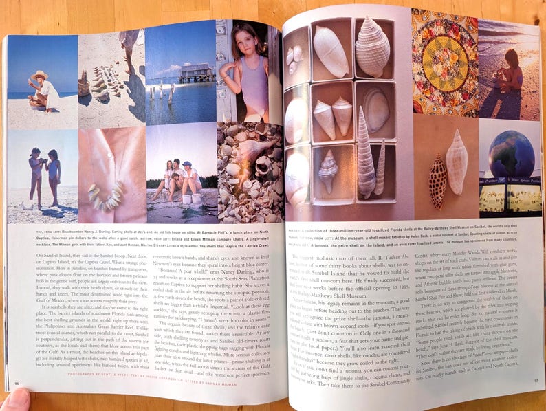 May include: A magazine spread featuring various images of seashells, beach scenes, and a young girl. The seashells are displayed in shadow boxes. The images are in a variety of colors, including blue, white, and brown.