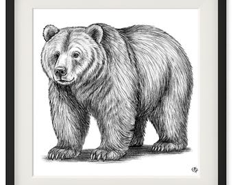 Digital Art - Downloadable Print - Square - Bear