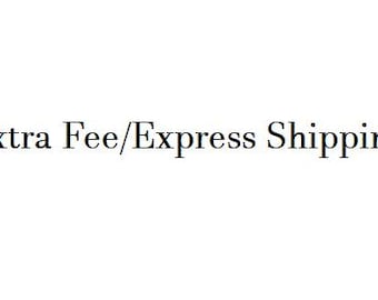 Extra Fee / Express Shipping