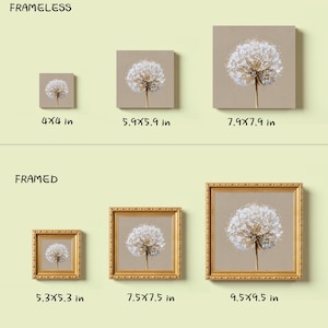 May include: A collection of square wall art prints featuring a white dandelion seed head on a beige background. The top row shows three frameless prints in sizes 4x4 in, 5.9x5.9 in, and 7.9x7.9 in. The bottom row shows three gold-framed prints in sizes 5.3x5.3 in, 7.5x7.5 in, and 9.5x9.5 in.
