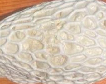 pheasant bird bodys taxidermy supplies