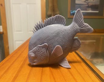 pumpkin seed sun fish