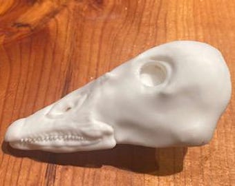 LG snow goose artificial head taxidermy  supplies