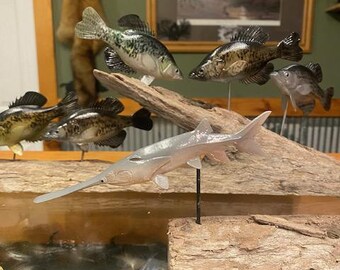Paddlefish painted