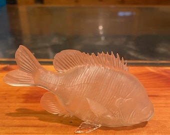 Bluegill bait fish  long non painted