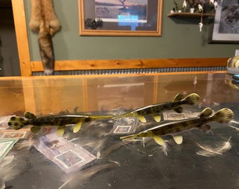 Gar
