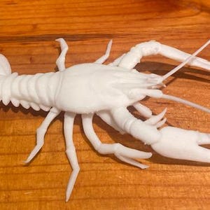 May include: A white, detailed model of a crawfish, featuring a segmented body, claws, and antennae. The crawfish is positioned on a wooden surface, showcasing its intricate design and realistic appearance. This decorative item is ideal for marine life enthusiasts.