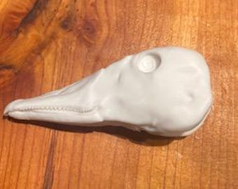 Canadian honker goose artificial head taxidermy  supplies