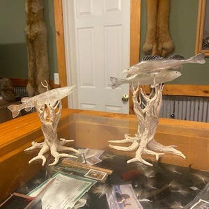 May include: Two clear glass fish sculptures mounted on off-white, textured, root-like bases. The left sculpture features a single elongated fish, while the right sculpture displays two stacked fish with visible dorsal fins, all resting on a flat surface.