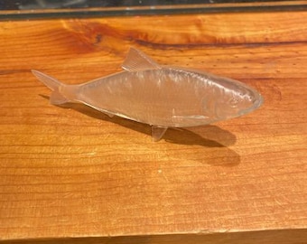 herring fresh water bait fish 4.5'' long