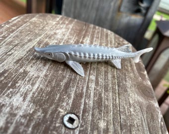 sturgeon fish