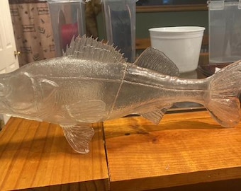 16' walleye replica