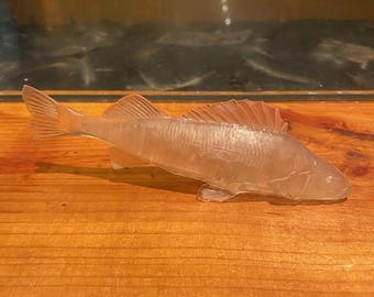 perch bait fish non painted