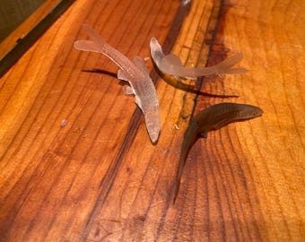 minnow bent 1