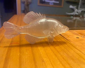 crappie
