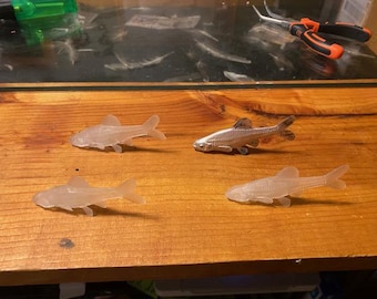 minnows bait artificial taxidermy supplies