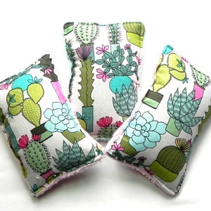 Reusable Sponges Washable Eco Friendly 3 Kitchen Bath Cactus Succulent fabric Sponges Camping RV Cleaning Loofah Dish Sponge scrubby Desert