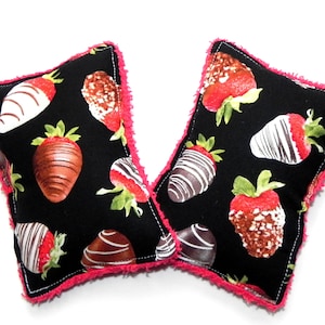 Reusable Sponges Washable Eco Friendly Set of 2 Kitchen Shower Bath Dish  Eco Sponges Chocolate Strawberries Gift for Food Lovers Camping RV