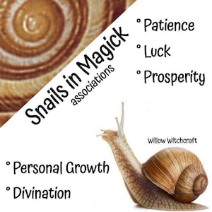 May include: A graphic featuring a snail illustration and the text "Snails in Magick associations". The text lists "Patience, Luck, Prosperity, Personal Growth, Divination". The image is from Willow Witchcraft.
