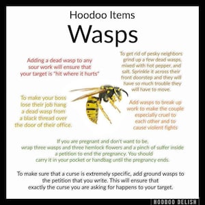 Dried Wasps