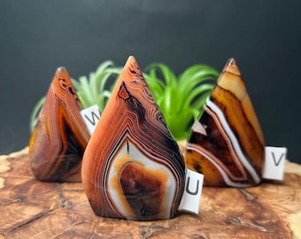 Druzy Sardonyx with Orbicular Banding & Flame Stripe – Statement Crystal Decor