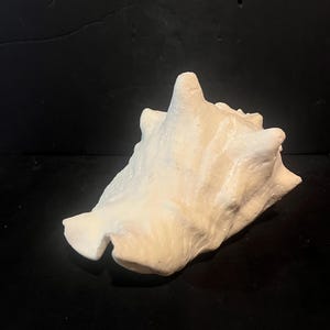 May include: A large, off-white conch shell featuring a textured, calcified surface with prominent, blunt spikes and a wide, flared opening. The shell displays natural ridges and organic contours, showcasing a solid, matte, cream-coloured exterior.