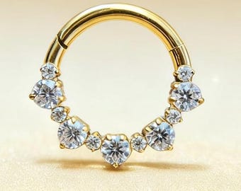 16G Titanium Cartilage Earrings Septum Hinged Segment Ring 2 Sides View CZ Paved Lip Conch Daith Helix Tragus Lobe Snug Piercing 8mm/10mm.