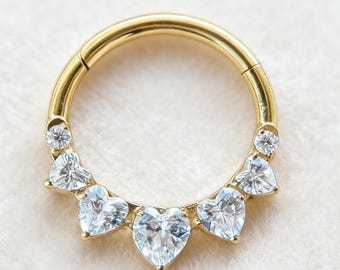 16G Titanium Cartilage Earrings Septum Hinged Segment Ring 2 Sides View CZ Paved Lip Conch Daith Helix Tragus Lobe Snug Piercing 8mm/10mm.