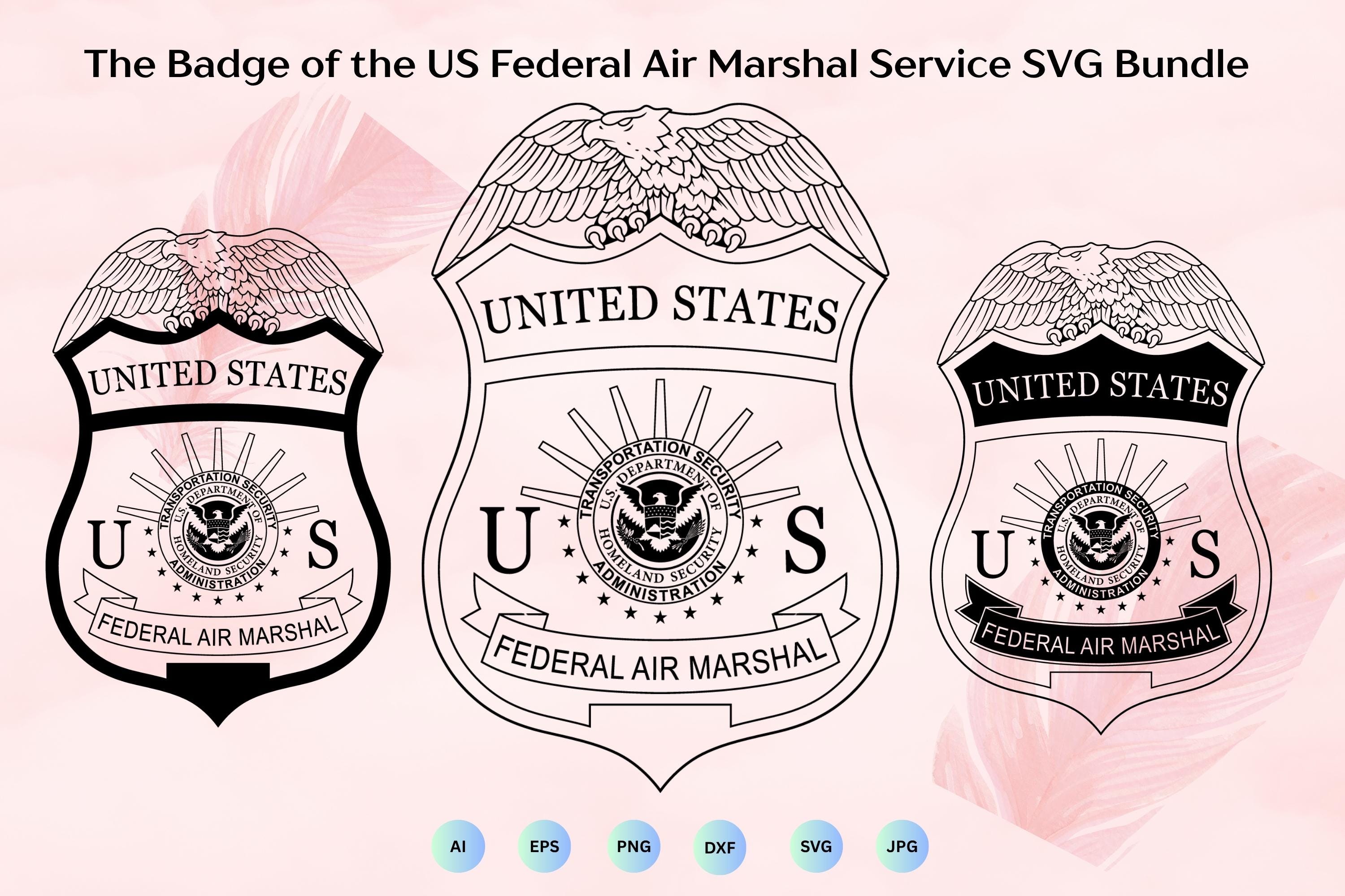 Federal Air Marshal Patch - Etsy