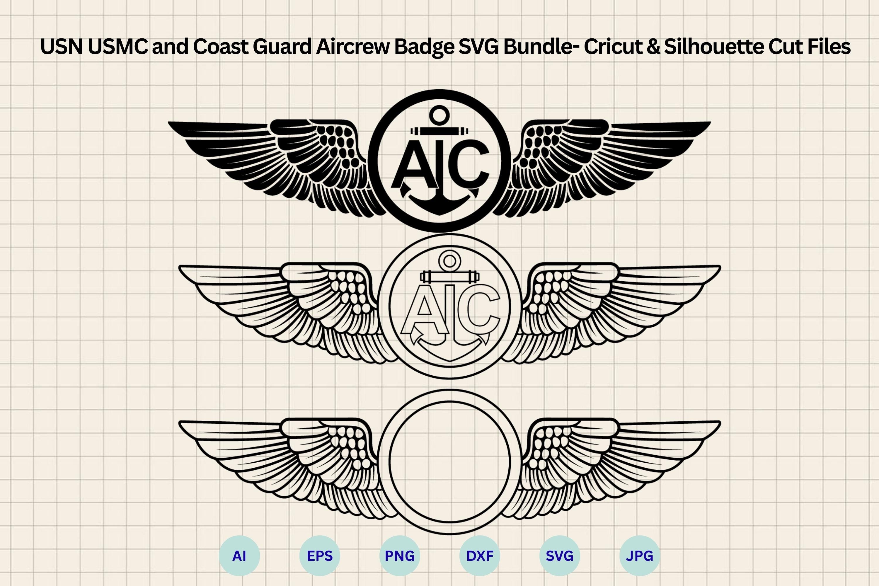 Aircrew Wings Insignia Coast Guard USCG Navy Aviation Badge Pin