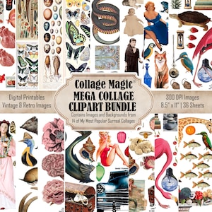 MEGA BUNDLE von Collage Magic! Erstelle dein STASH und lerne die Collage mit Linda Carol Risso-Fadrowski. 180+ Collage Bilder sind 300 dpi.