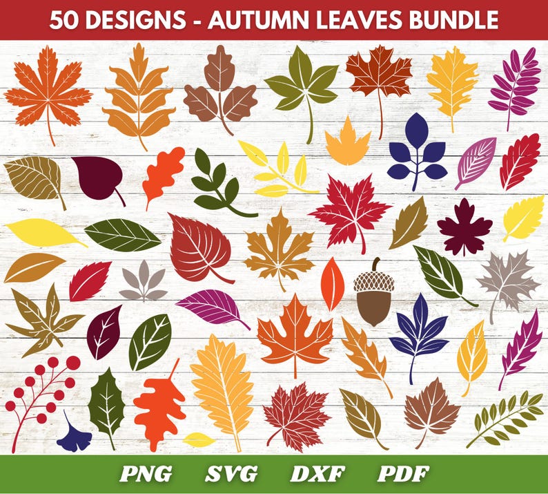 Autumn Leaves SVG, PNG Bundle Digital Clipart, Fall Leaf Divider SVG ...