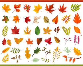 Autumn Leaves Clipart, Fall Leaves clipart, Autumn clipart, Fall clipart, Leaf clipart, Fall Leaf clipart, Season, Instant Download PNG