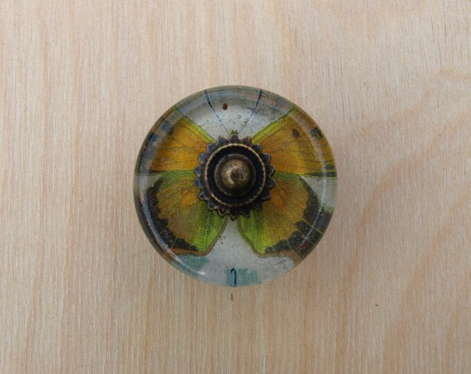 Glass Decoupage Knob Butterfly Etsy