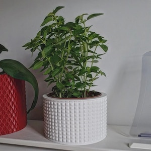 Peut inclure: Un pot en céramique blanc texturé rempli d'une plante verte vibrante. Le pot présente un motif carré répétitif. La plante a de nombreuses feuilles et tiges vertes. Un pot rouge avec un motif géométrique est partiellement visible à gauche.